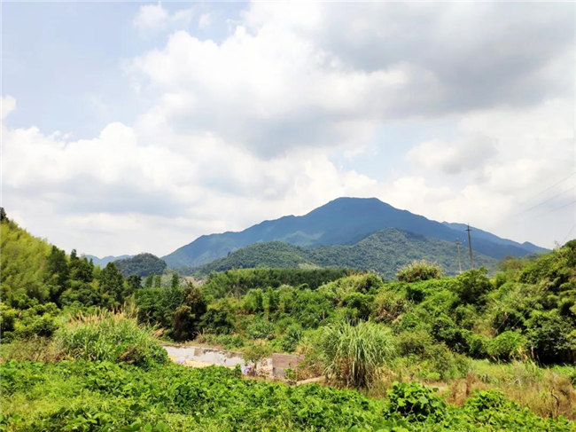 呼吸鮮氧，踐行公益——廣東博皓公益活動：星溪線公益環?；顒?  -6