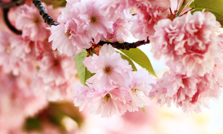 春暖花開時(shí)節(jié)，2021年博皓“鷹之家”學(xué)習(xí)組織班委換屆盛典