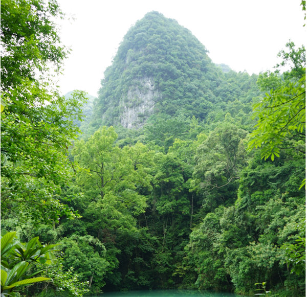 賞華夏大地，游多彩貴州-－2021年廣東博皓快樂行-2