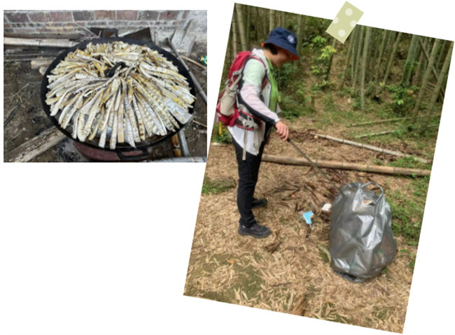 生命和綠色擁抱，人類與生態(tài)共存——2023年廣東博皓公益活動   -6