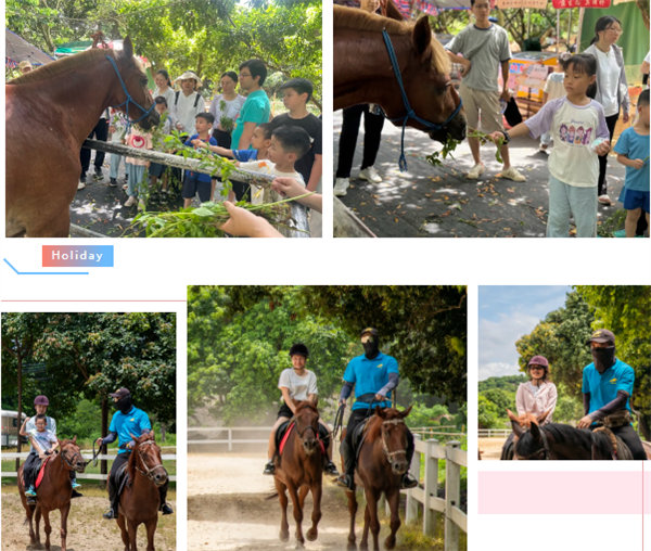 廿載博皓盛夏日,親子相伴歡樂行—2024年廣東博皓親子游    -7