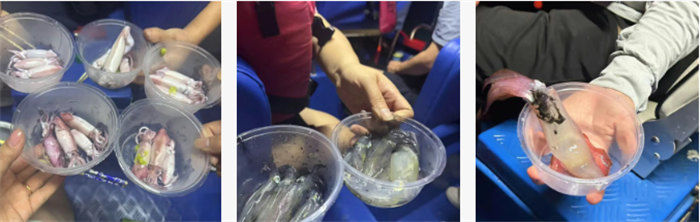 攜手博皓逐夢行,巽寮灣上展豪情—廣東博皓2025年巽寮灣之旅    -10