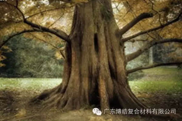 【博皓感悟】欲為大樹,莫與草爭(zhēng)-4