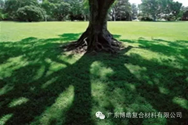 【博皓感悟】欲為大樹,莫與草爭(zhēng)-6