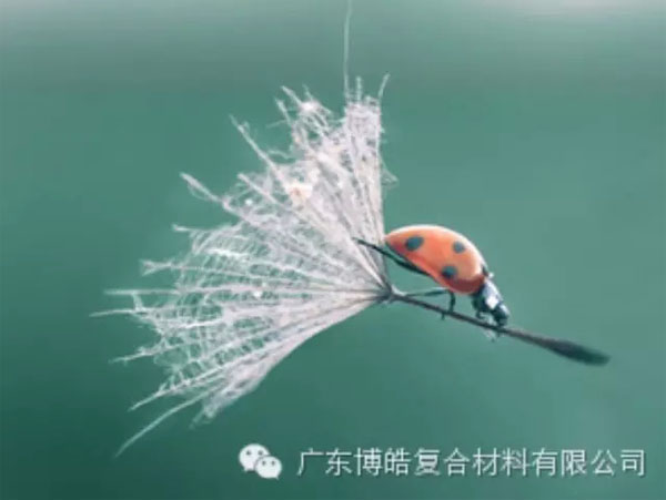 【博皓感悟】成功，要“借力”，不要“盡力”